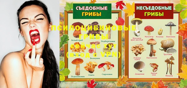 соль курить ск Богородск
